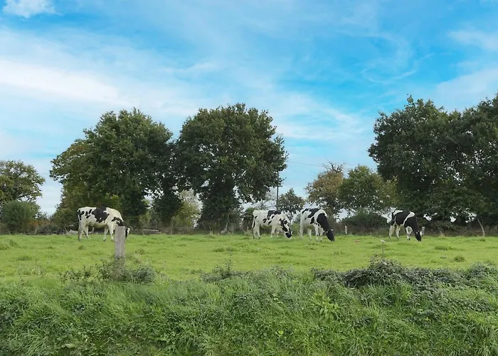 Baie Du Mont Michel Nyaraló Saint-James